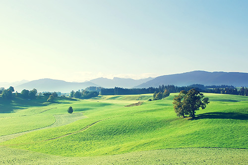 父亲节微信朋友圈文案2023 父亲节微商文案(精选81句)