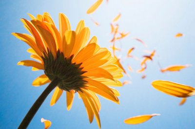 ​描写环境优美的句子90句