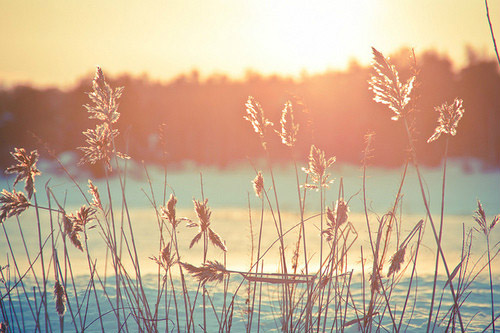 企业感谢客户的话87句