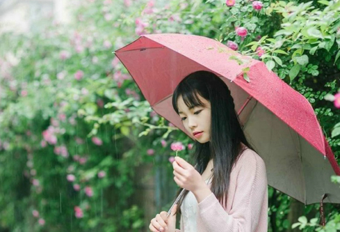 1682429616797378.png image.png