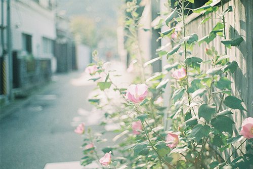 伤感离开性签名81句