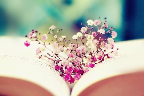 二哈和他的白猫师尊经典语录