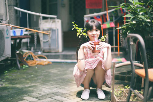 长相思句子著名(88句)