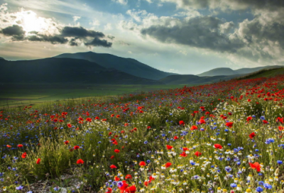 ​经营婚姻经典台词 婚姻经营语录(精选70句)