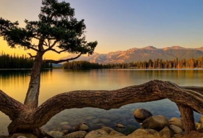 ​名人传罗曼罗兰经典语录（名人传罗曼罗兰的名言名句）