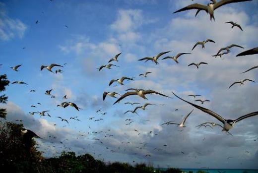 描写春夏秋冬的语句