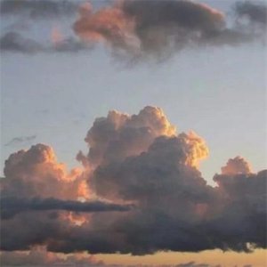 ​幸福感言句子10句（平淡的幸福句子唯美）