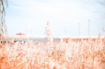 ​100句丧到极致的句子 令人心痛到心碎的句子