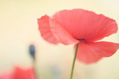 ​女人要对自己好点的说说(29句)