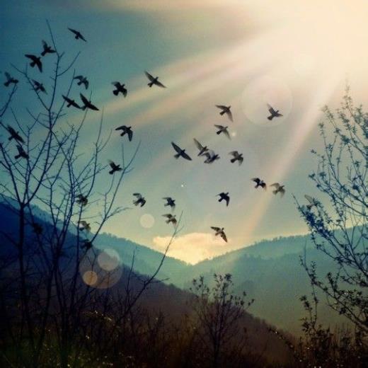 浪漫搞笑个性签名