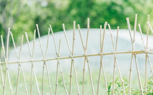 好词好句初中生开头或结尾