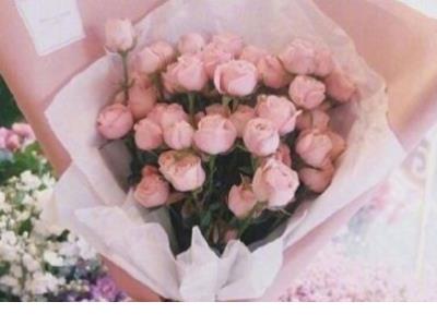 生活感悟经典句子简短加配图