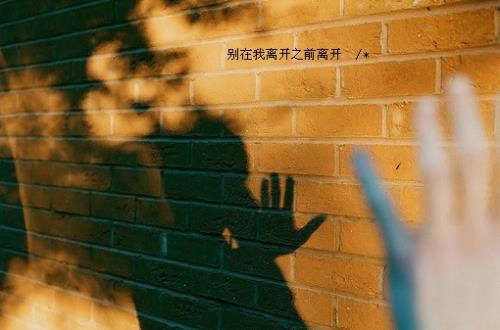 关于感悟生活美好句子