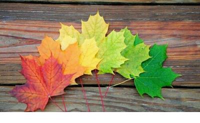 婚姻的经典语录