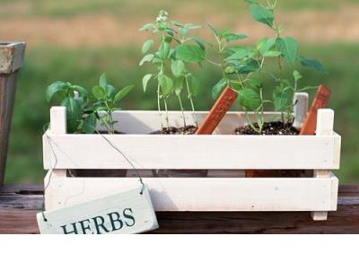 勉励初二学生的话