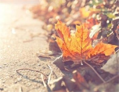 ​每日清晨 早安最短精句