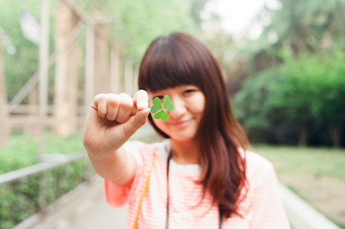 描写月季花的好词好句