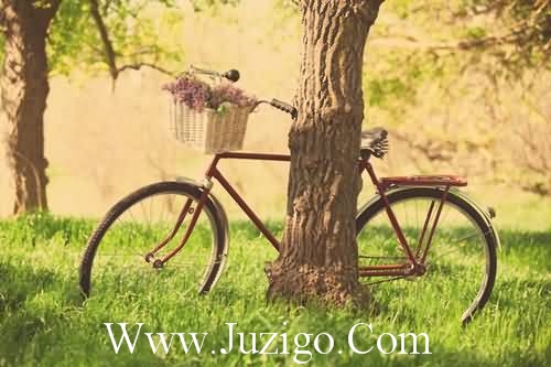 形容缺钱的搞笑句子(42句)