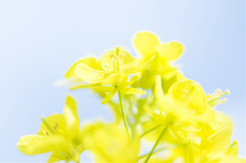 女人表达对婚姻失望的句子