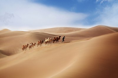 ​写春夏秋冬的句子103句