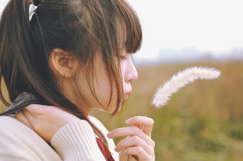 文艺小清新句子 森系文艺范短句(50句)