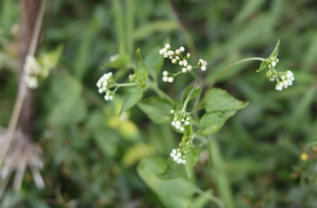 富有寓意的网名二字(精选1247个)