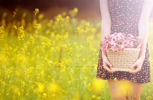 简单气质的女生微信名字 简单气质的女生微信名字