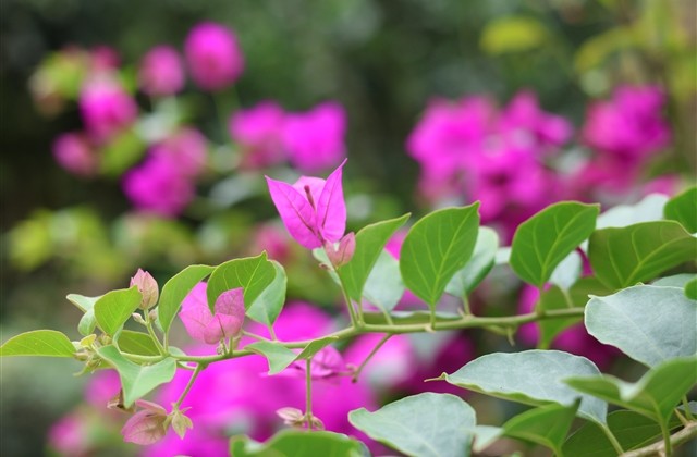 单身孤单的微信网名(精选416个) 单身孤单的微信网名(精选416个)