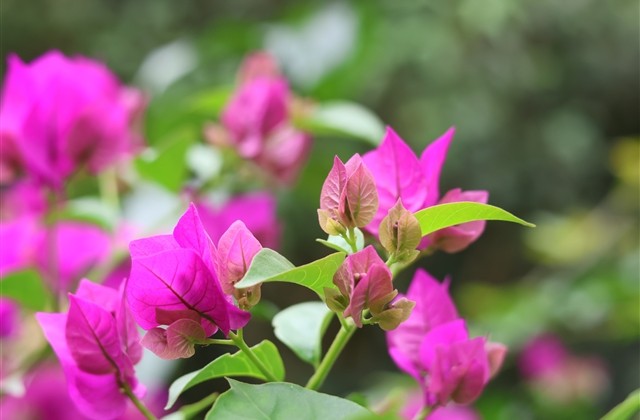 单身孤单的微信网名(精选416个) 单身孤单的微信网名(精选416个)