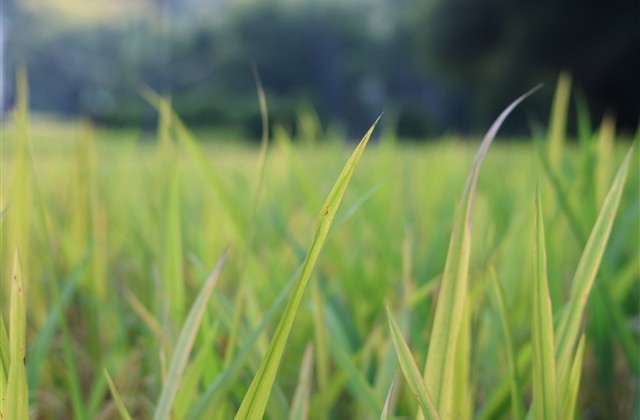 好听惊艳的情侣名(共308个) 好听惊艳的情侣名(共308个)