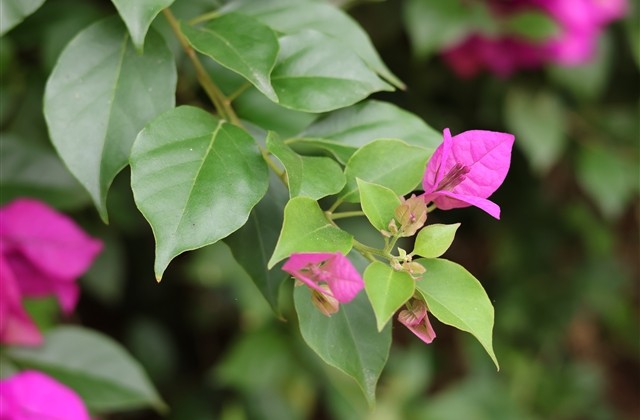 大气两个字的游戏名字(精选621个) 大气两个字的游戏名字(精选621个)