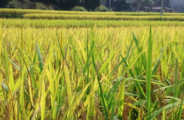 古风味十足的男生网名(共486个) 古风味十足的男生网名(共486个)