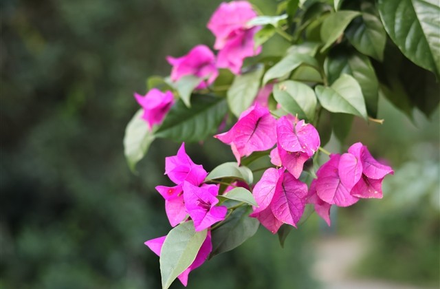 最好的6字网名(优选404个) 最好的6字网名(优选404个)