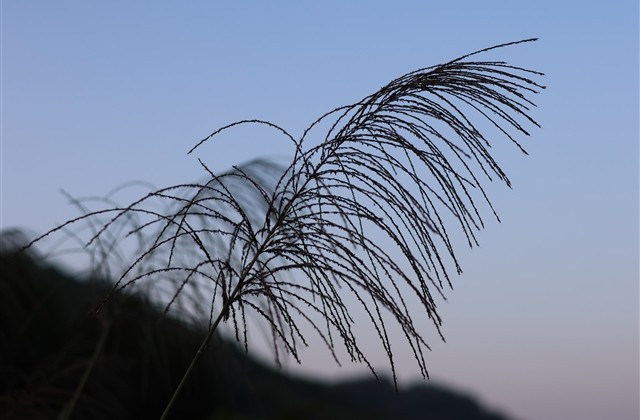 低调一点的网名(精选359个) 低调一点的网名(精选359个)