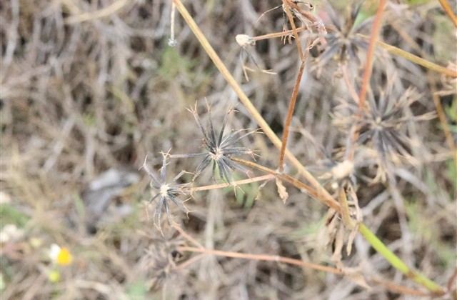 个性带符号的游戏名字(精选193个) 个性带符号的游戏名字(精选193个)