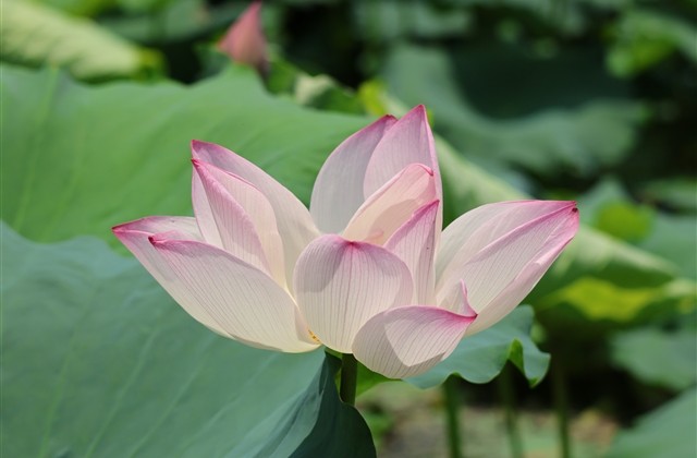 个性带符号的游戏名字(精选193个) 个性带符号的游戏名字(精选193个)