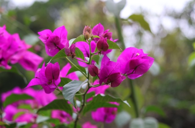 个性带符号的游戏名字(精选193个) 个性带符号的游戏名字(精选193个)