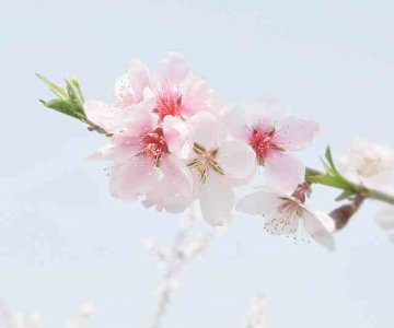 ​二年级好词好句大全