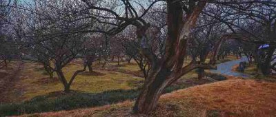 ​写秋天的好词好句