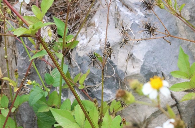 分手最好的微信名(优选134个) 分手最好的微信名(优选134个)