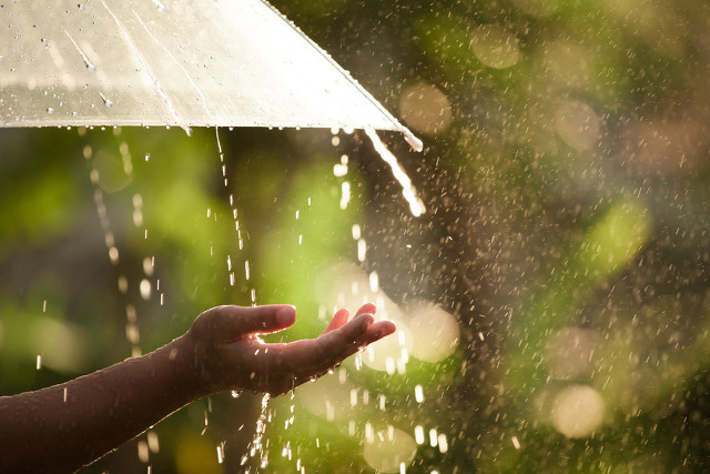 一个人听雨的说说 一个人静静地听雨的句子