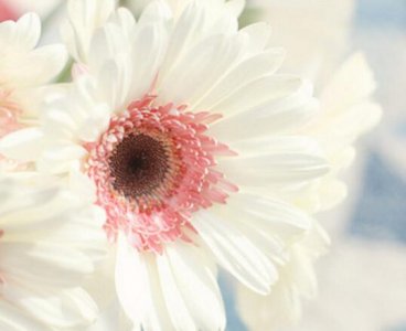 ​怀疑人生的句子