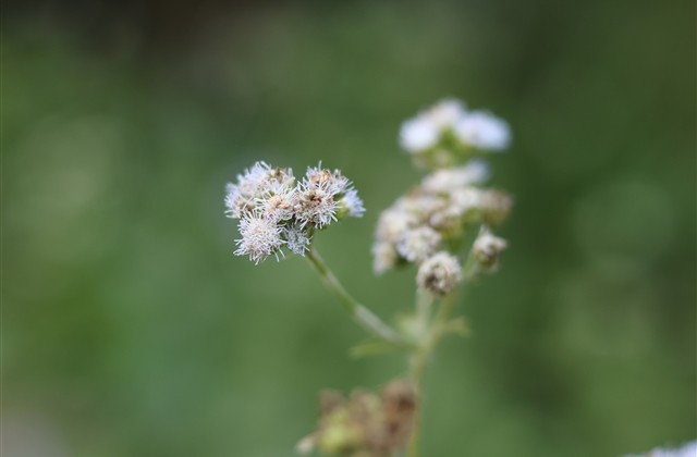 关于影子的网名(共97个) 关于影子的网名(共97个)