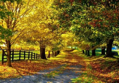 ​关于乒乓球的精美句子