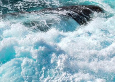 ​用心服务顾客的句子