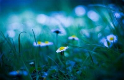 ​最有哲理的十句话 感悟人生 一句话