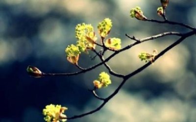 ​生气想骂人的个性签名[48句]