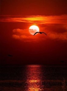 ​2023年搞笑个性签名