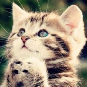 ​qq个性签名女生简短十字(简短的女生qq签名)