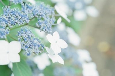 ​逗比搞笑的朋友圈句子 六月初六出生的人